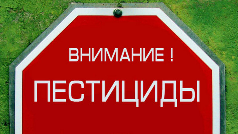 О правилах безопасного обращения с пестицидами и агрохимикатами. О правилах безопасного обращения с пестицидами и агрохимикатами.